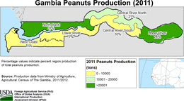 images\GA\cropprod\Gambia_peanut_preview.GIF